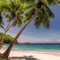 Foto de perfil usuario tripadvisor.